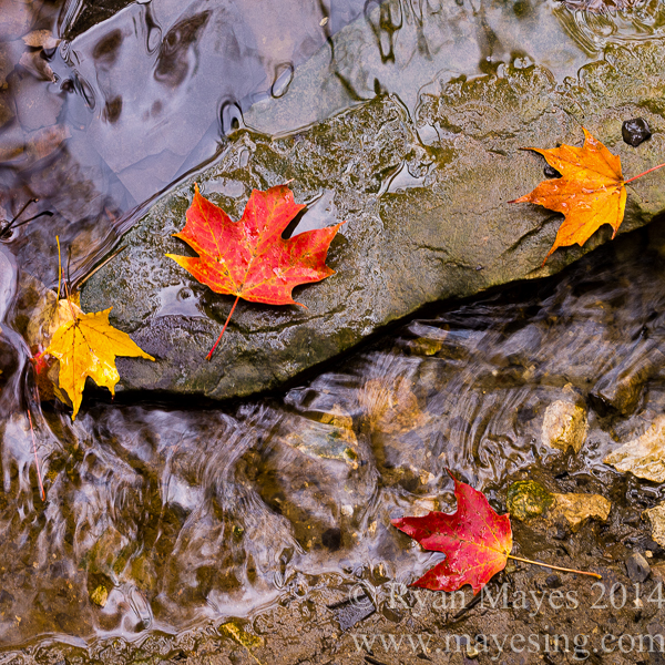 Images inspired by and from Ohio